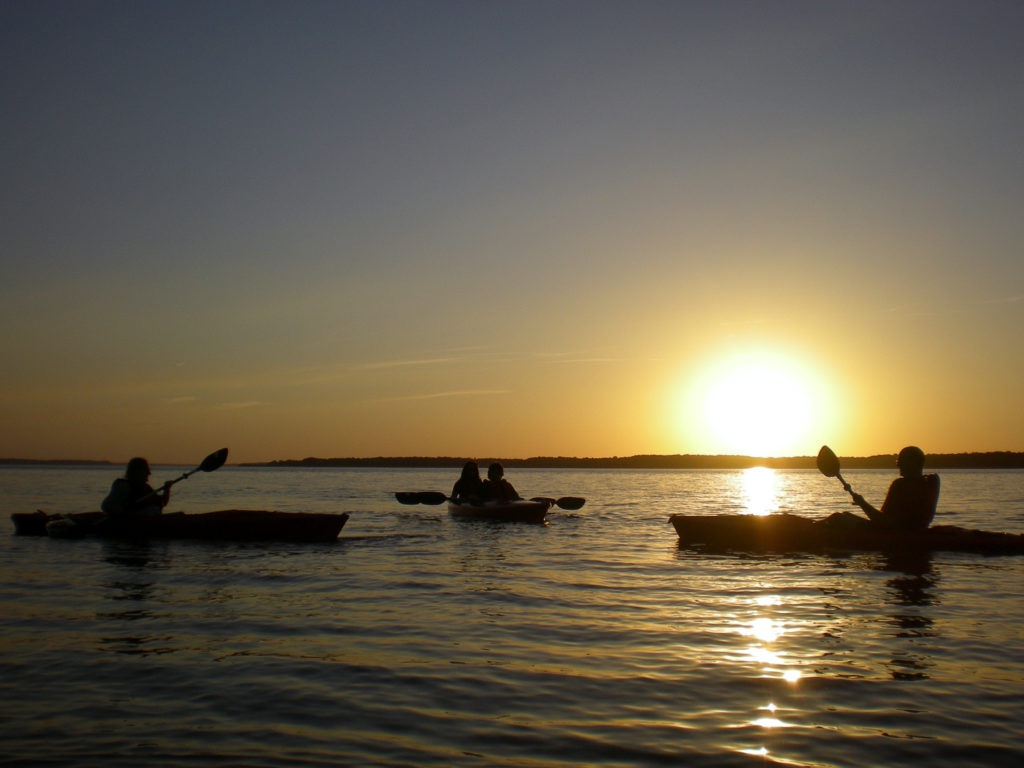 Kayak with Eagles