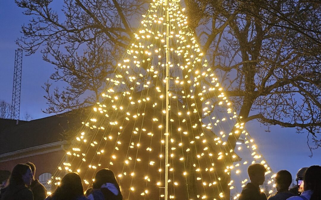 King George Christmas Tree Lighting