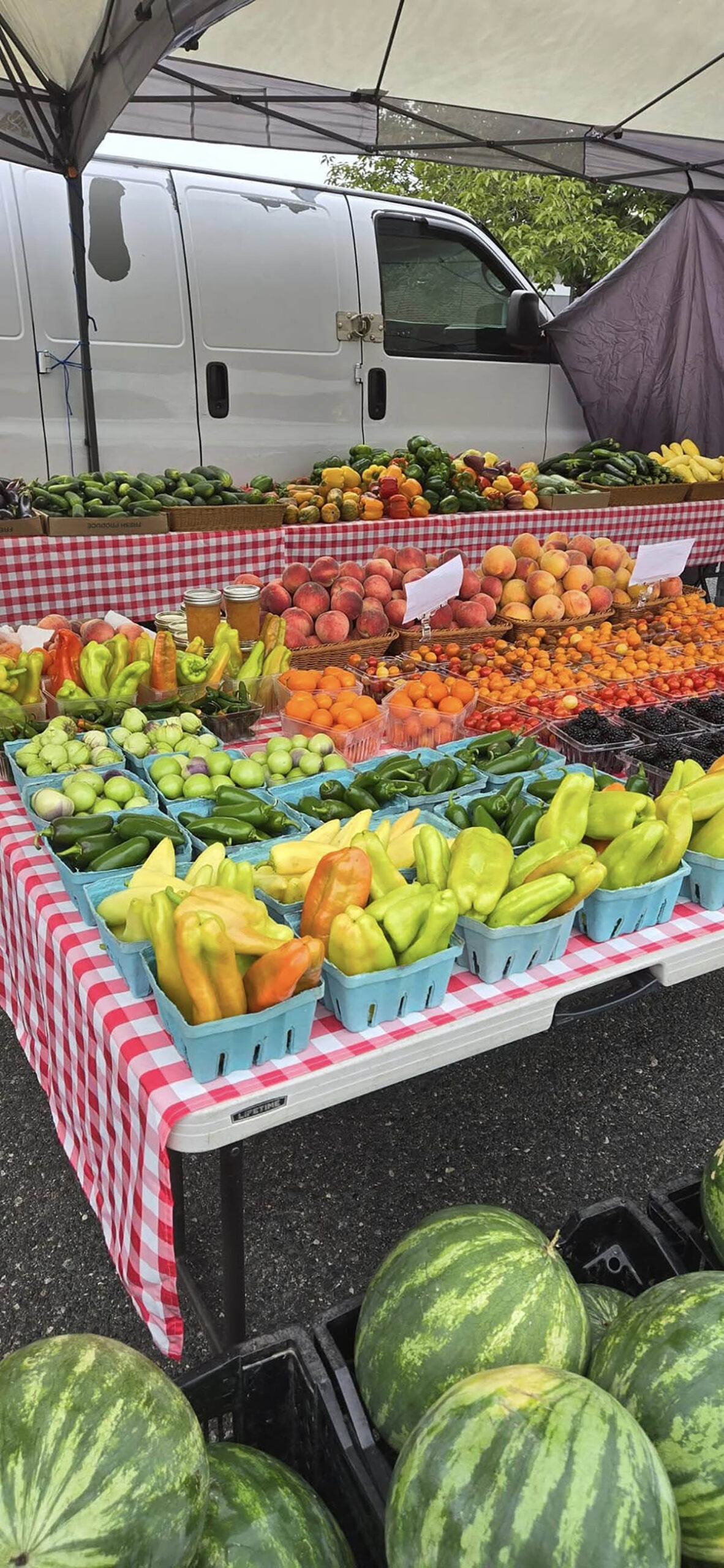 Farmers Market Option 2