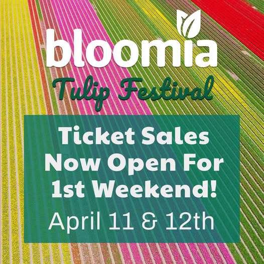Bloomia Tulip Festival