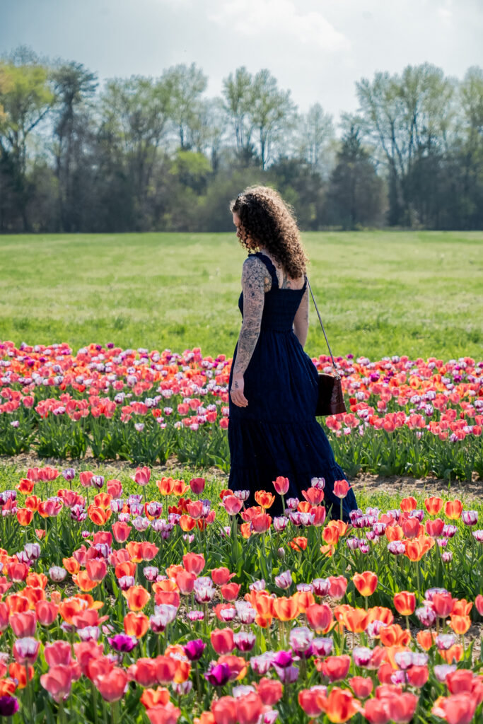 Bloomia Tulip Festival